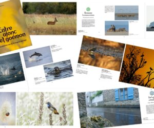 475071817_947971334094680_7028358884548618401_n