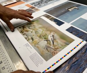 475308677_948993827325764_3961332791464010259_n