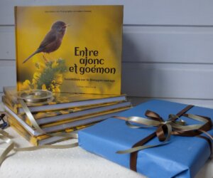 476365402_958402479718232_6063886369141915515_n