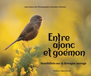 476932018_958386776386469_7983121722235703811_n